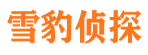 莘县侦探公司